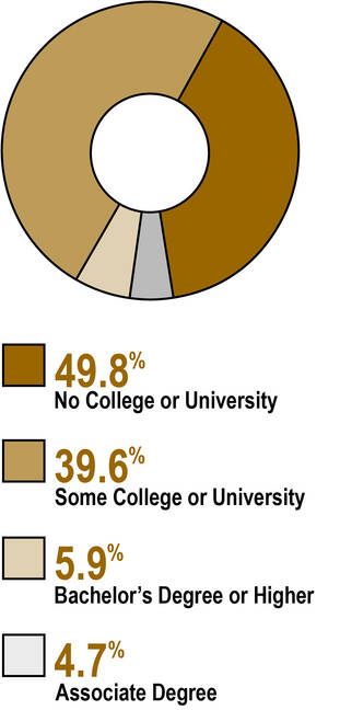 Prior educational experience: 49.8% no college or university, 39.6% some college or university, 5.9% Bachelor's Degree or Higher, 4.7% Associate Degree.